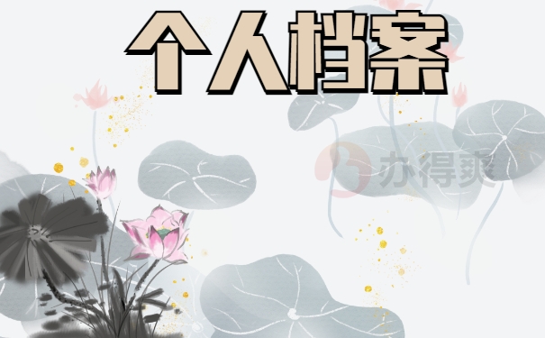 个人档案