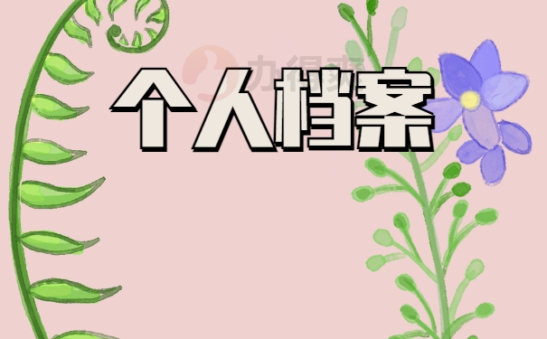 个人档案