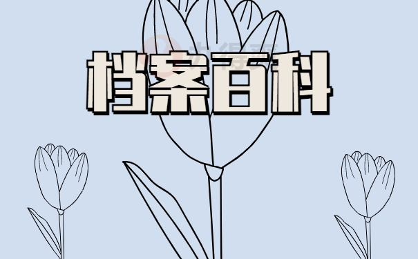 档案百科