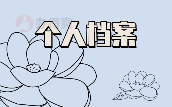个人档案