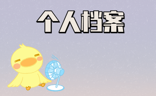个人档案