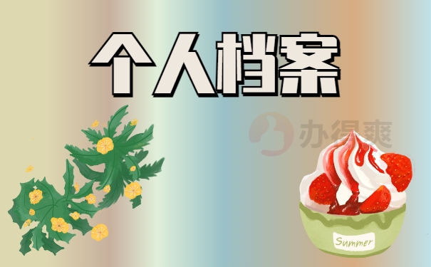个人档案