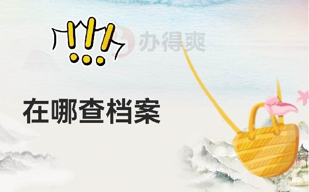 档案查询
