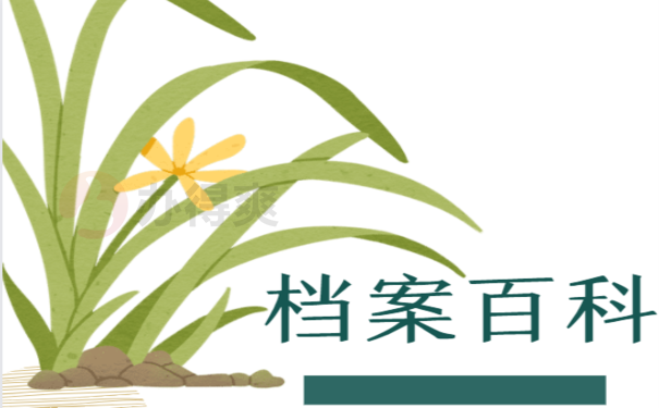 武汉市学生个人档案查询