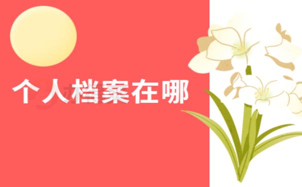 查询档案