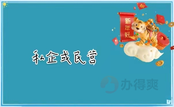 私企或民营