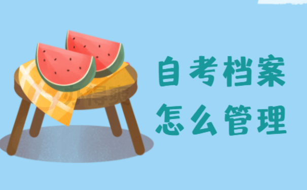 自考档案在自己手里可以政审吗