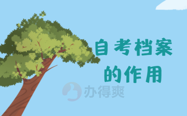 自考档案在自己手里可以政审吗