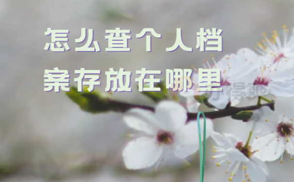 怎么查个人档案存放在哪里