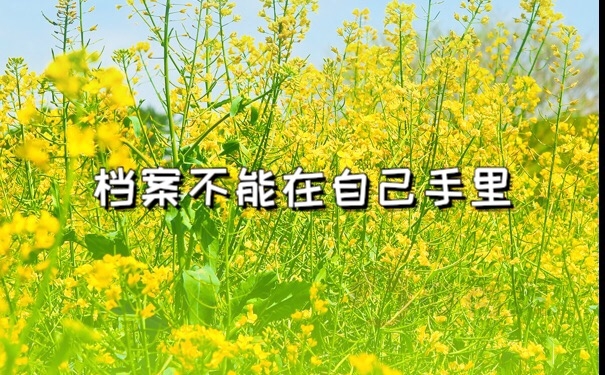 档案在自己手里