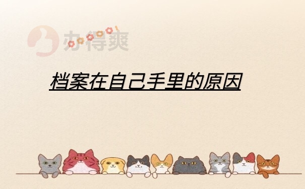 档案在自己手里