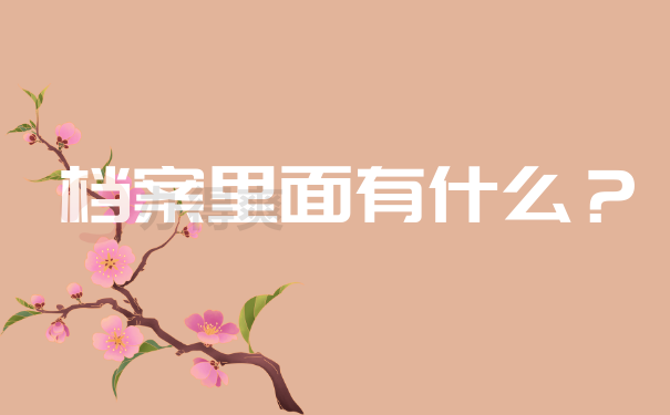 档案里面有什么？