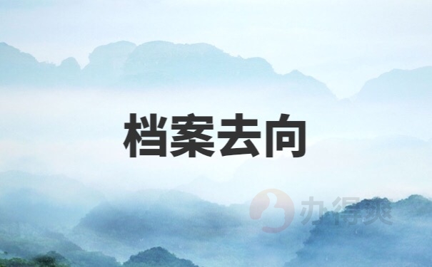 档案去向