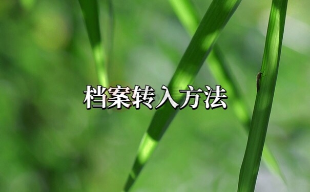 档案转入