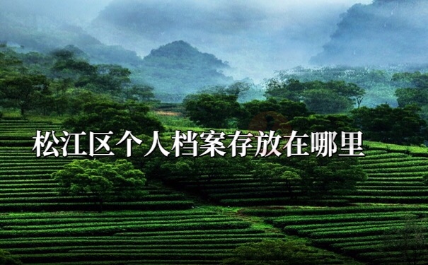 档案查询