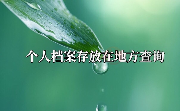 档案查询