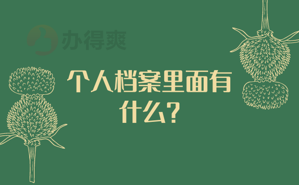 个人档案里面有什么？