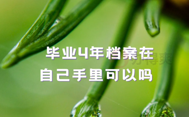 毕业4年档案在自己手里可以吗