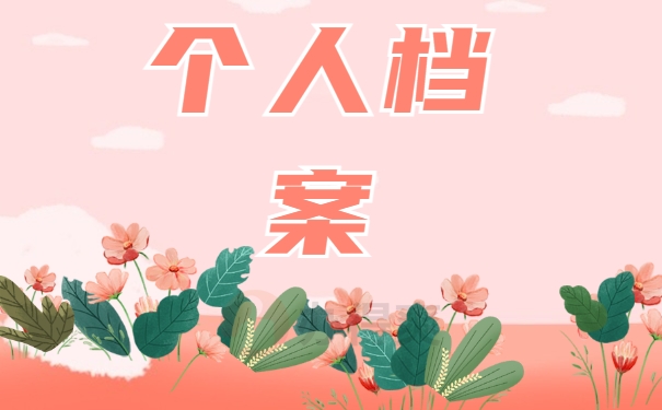 个人档案