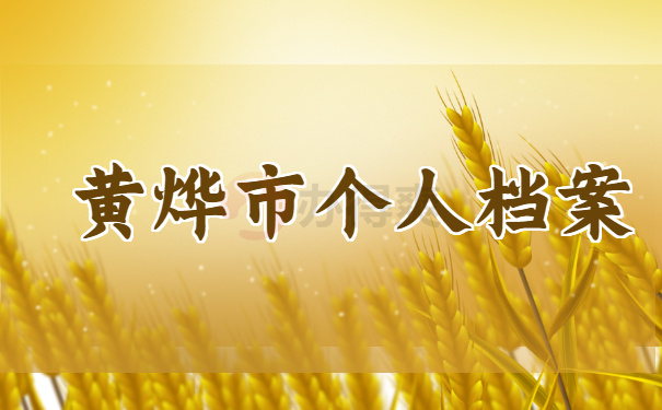 个人档案