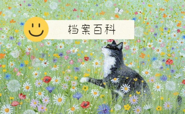 档案百科
