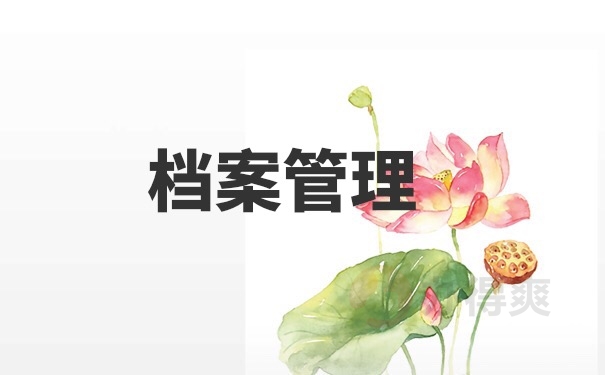 档案管理