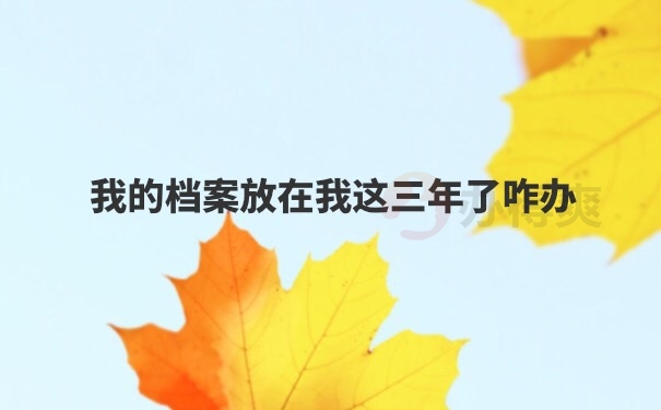 档案在自己手里