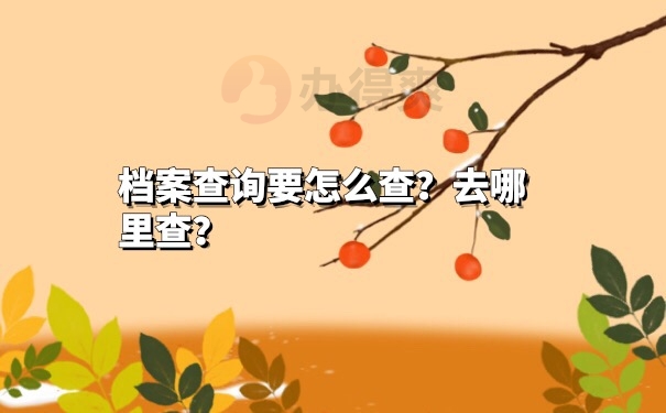 档案查询