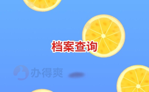 档案查询