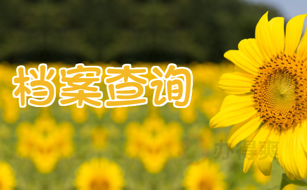 档案查询