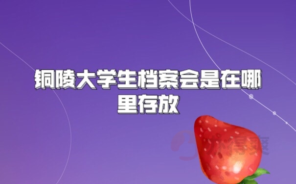档案查询