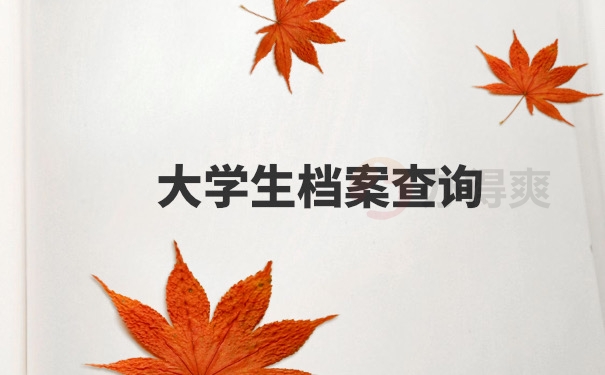 档案查询