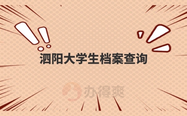 档案查询