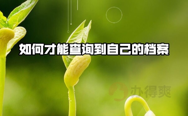 档案查询