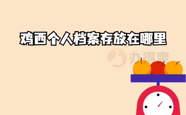 个人档案