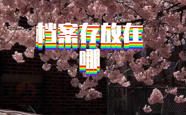 档案存放