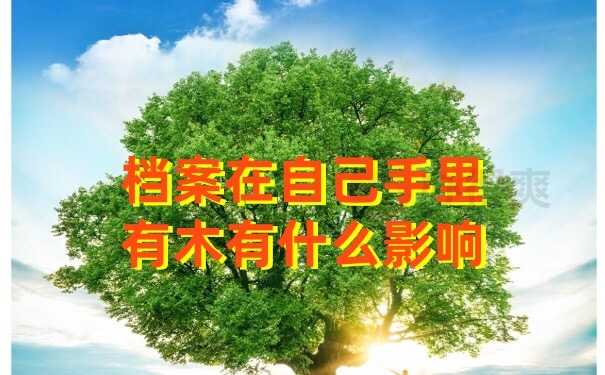 档案在自己手里
