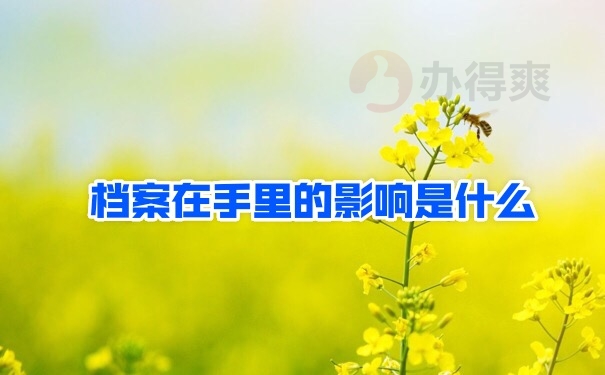 档案在自己手里