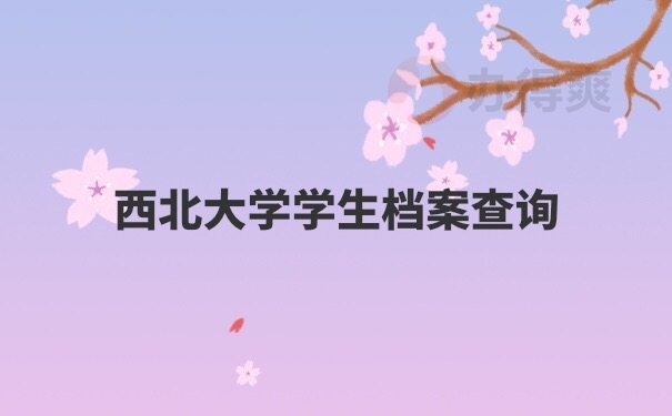 档案查询