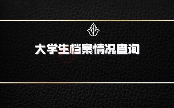 档案查询