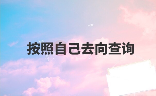 档案查询