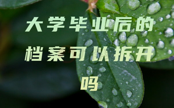 大学毕业后的档案可以拆开吗