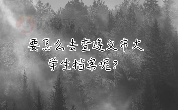 要怎么去查询遵义市大学生档案呢？