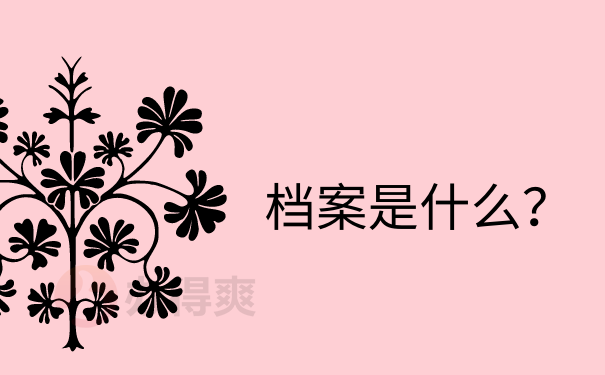 档案是是什么