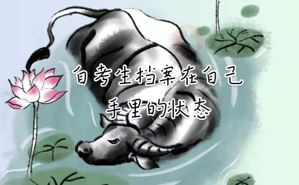 自考生档案在自己手里的状态