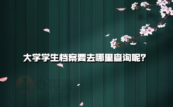 档案查询