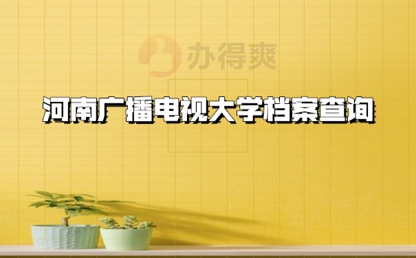 档案查询