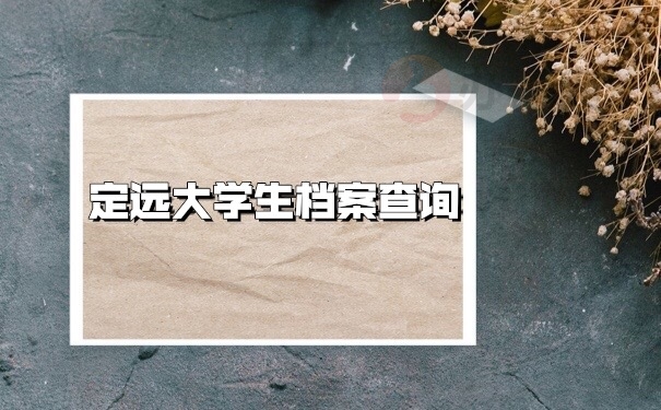 档案查询
