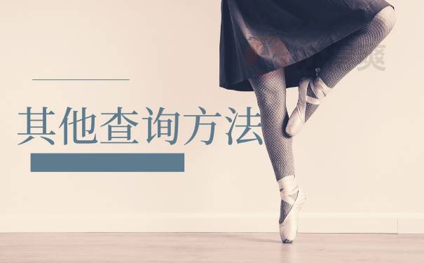 其他查询方法
