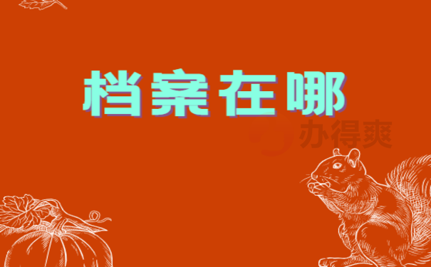 档案在哪